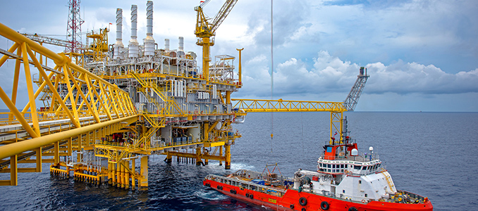 Oil and Gas Rubber Seal