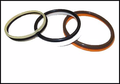 Picture for category O-RINGS & BACKUPS