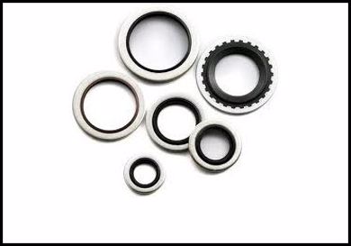 Picture for category BONDED SEALS