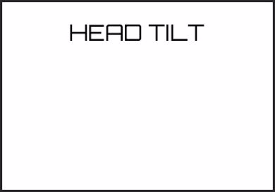 Picture for category HEAD TILT