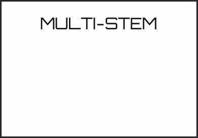 Picture for category MULTI-STEM