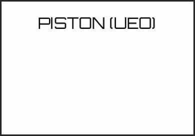 Picture for category PISTON (UEO)