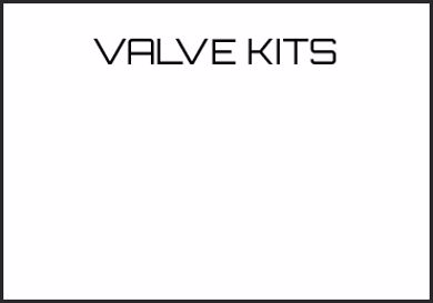 Picture for category VALVE KITS