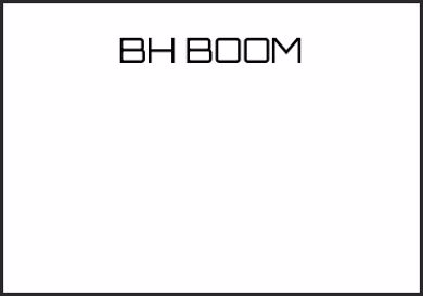 Picture for category BH BOOM