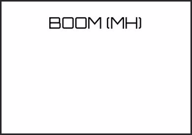 Picture for category BOOM (MH)