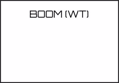 Picture for category BOOM (WT)