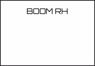 Picture for category BOOM RH
