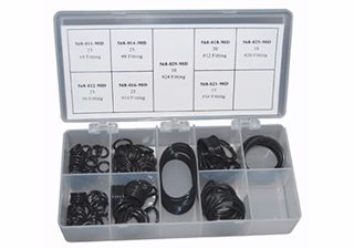 Picture of O-RING & BACK-UP KITS