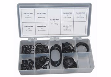 Picture of O-RING & BACK-UP KITS